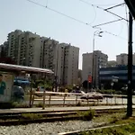Alipasino *