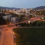 Alipasino *
