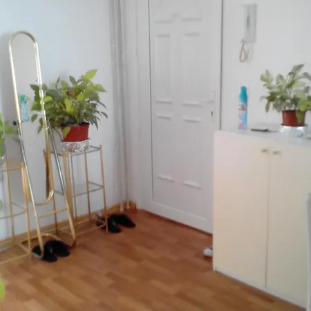 Alipasino Appartement *