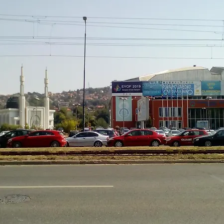 Alipasino